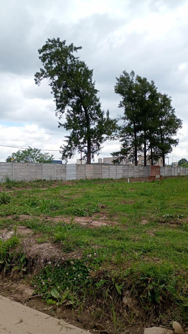 Foto de Lindisimo Terreno Barrio ALMAHUE, imagen 3