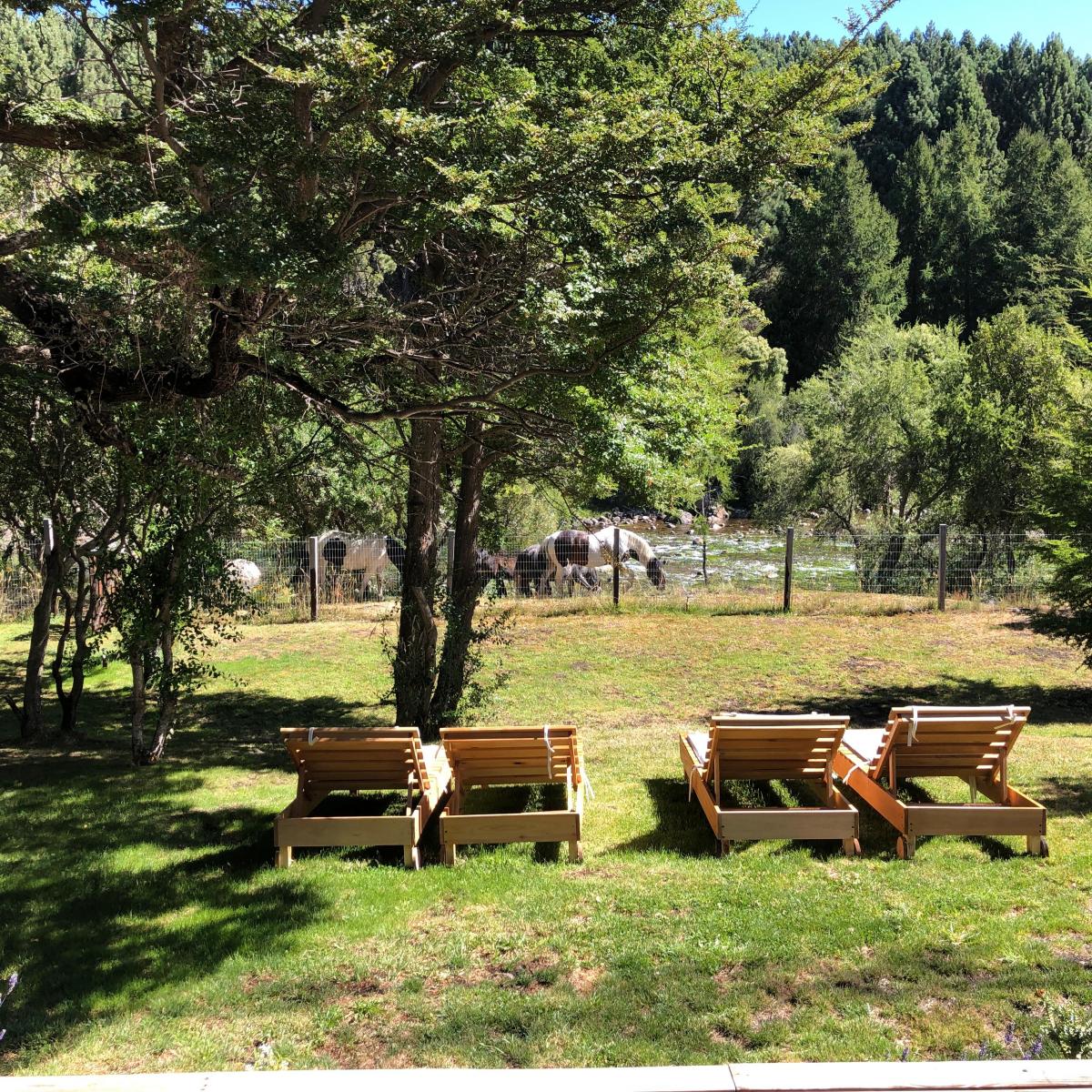 Exclusiva Casa en Aldea de Montaña con Costa de Rio Meliquina. Patagonia 2