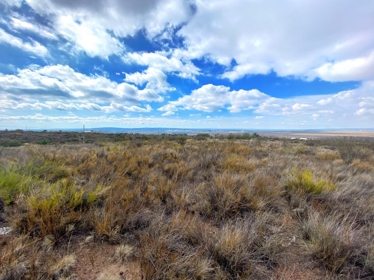 Terreno en Venta, Ruta 82, Luján de Cuyo, Mendoza. 4