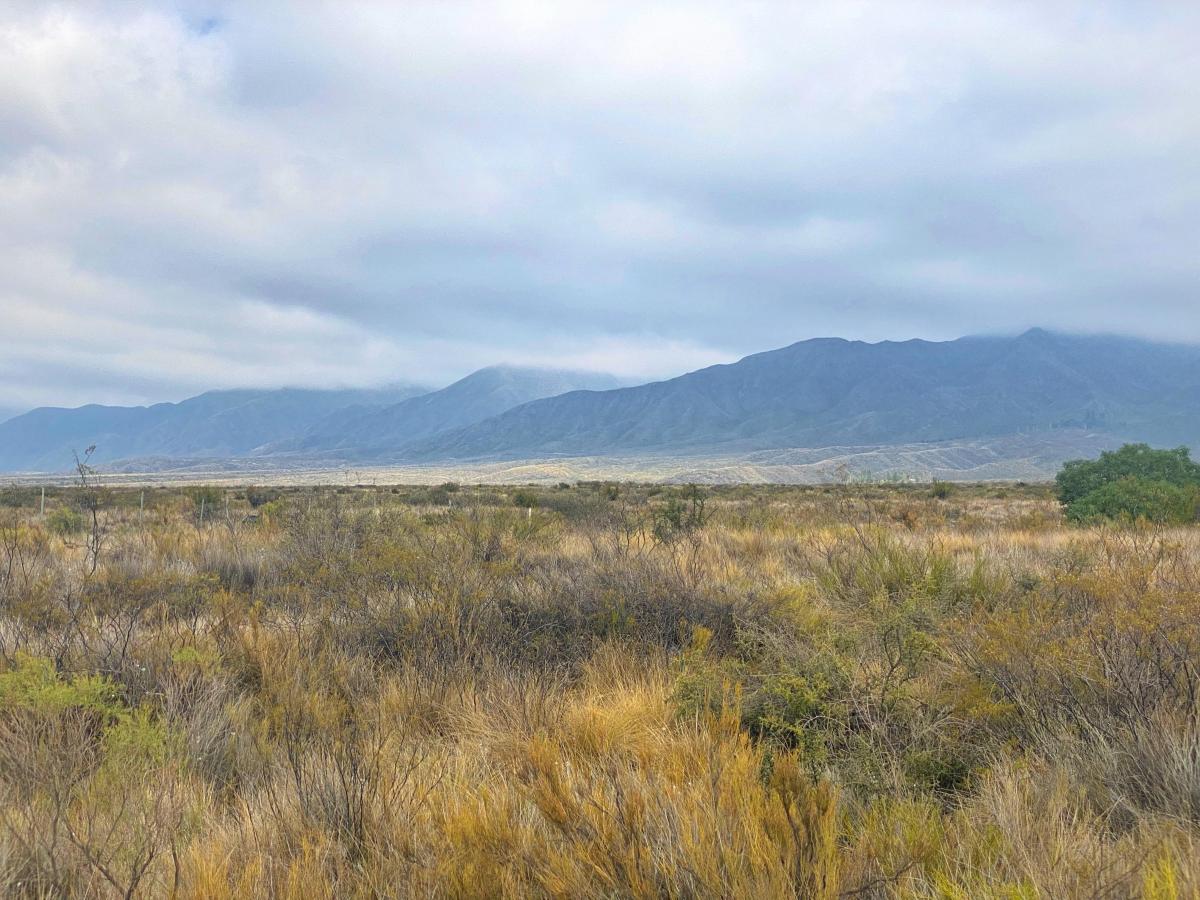 Terreno en Venta, Ruta 82, Luján de Cuyo, Mendoza. 2