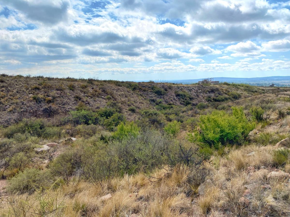 Terreno en Venta, Ruta 82, Luján de Cuyo, Mendoza. 3