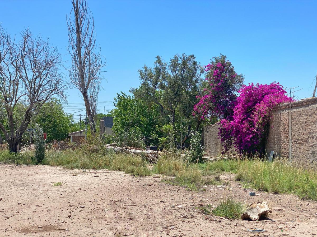 Terreno en Venta, Guaymallen, Mendoza. 5