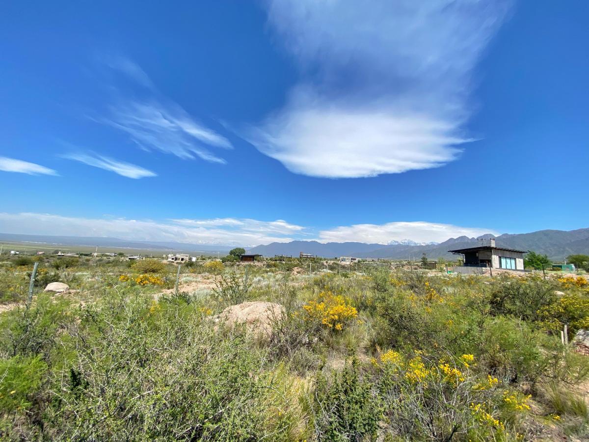 Terreno en Venta, Luján de Cuyo, Mendoza 5