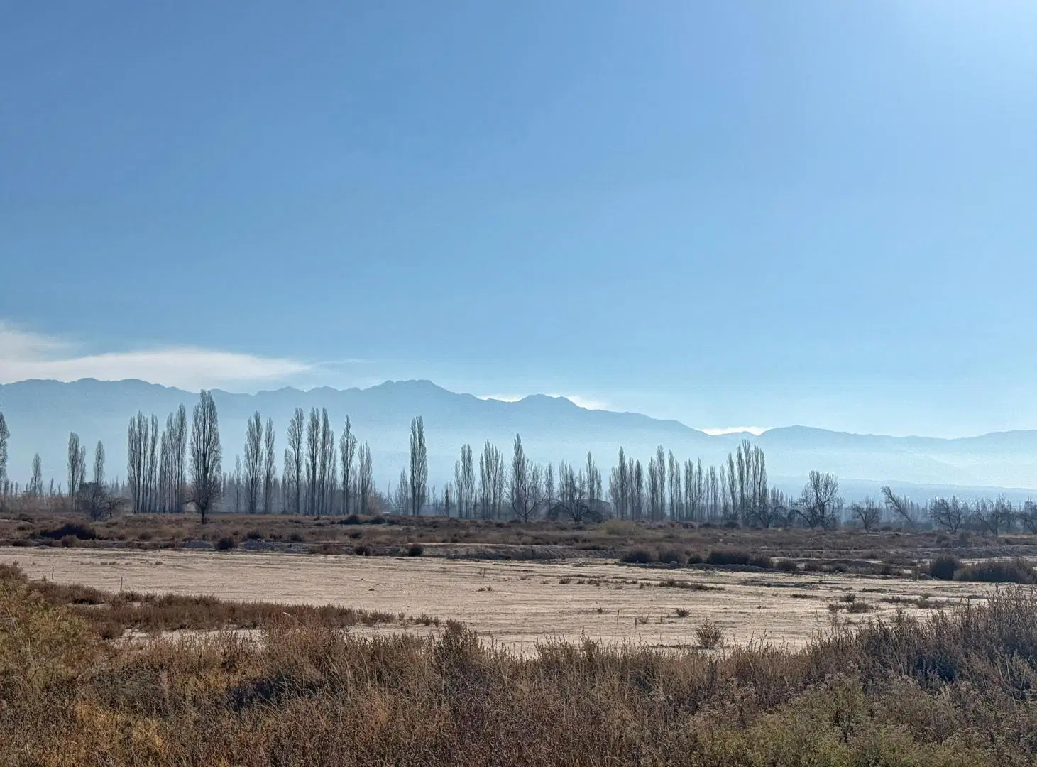 Terreno en Venta, Vistalba, Luján de Cuyo, Mendoza 4