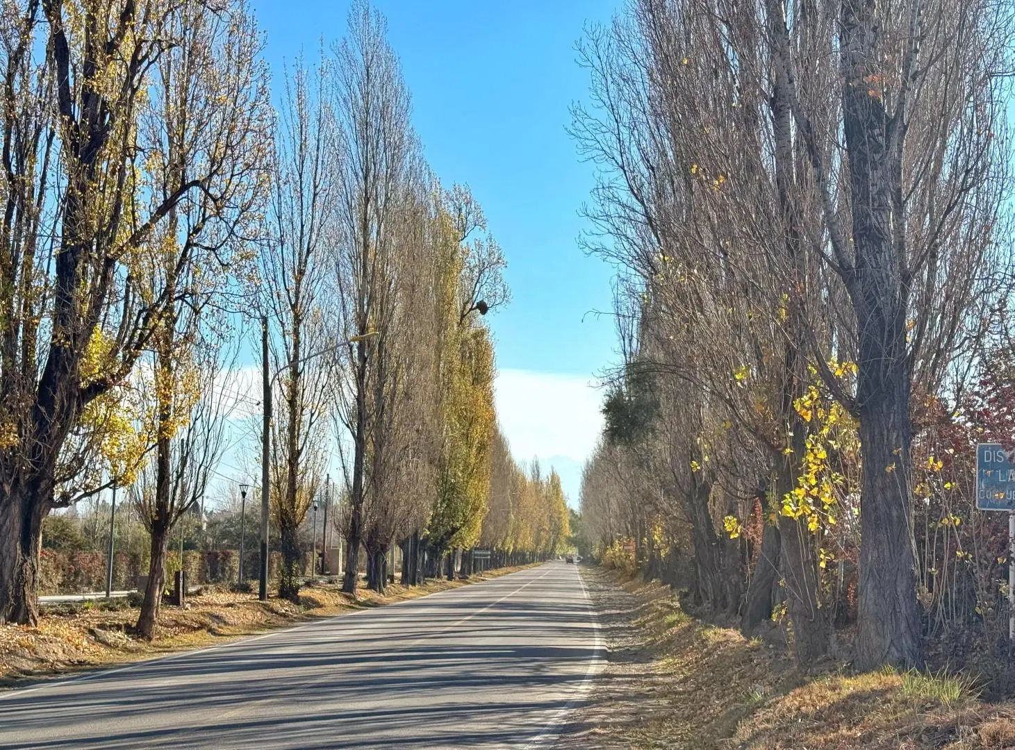 Terreno en Venta, Vistalba, Luján de Cuyo, Mendoza 2