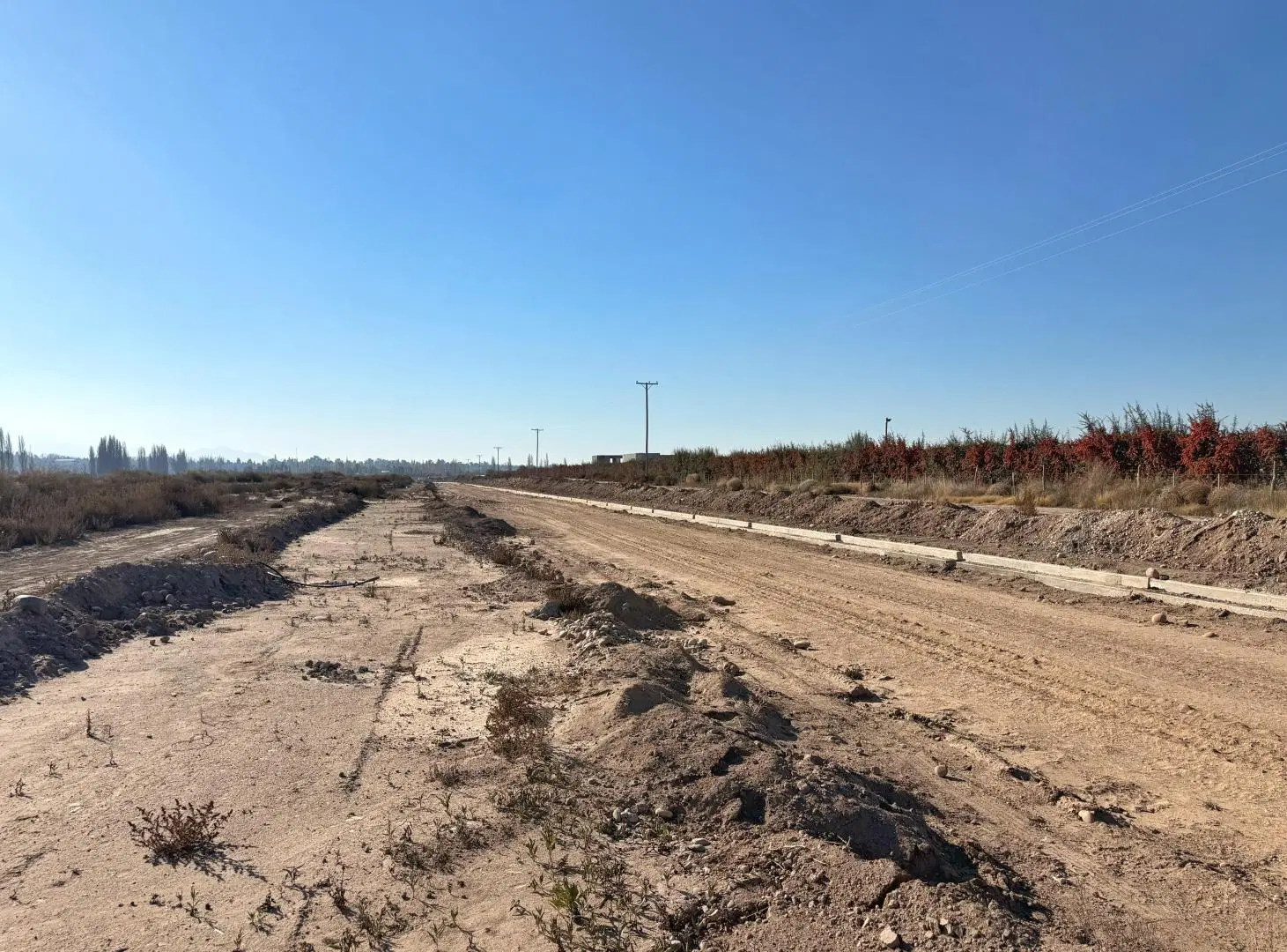 Terreno en Venta, Vistalba, Luján de Cuyo, Mendoza 8