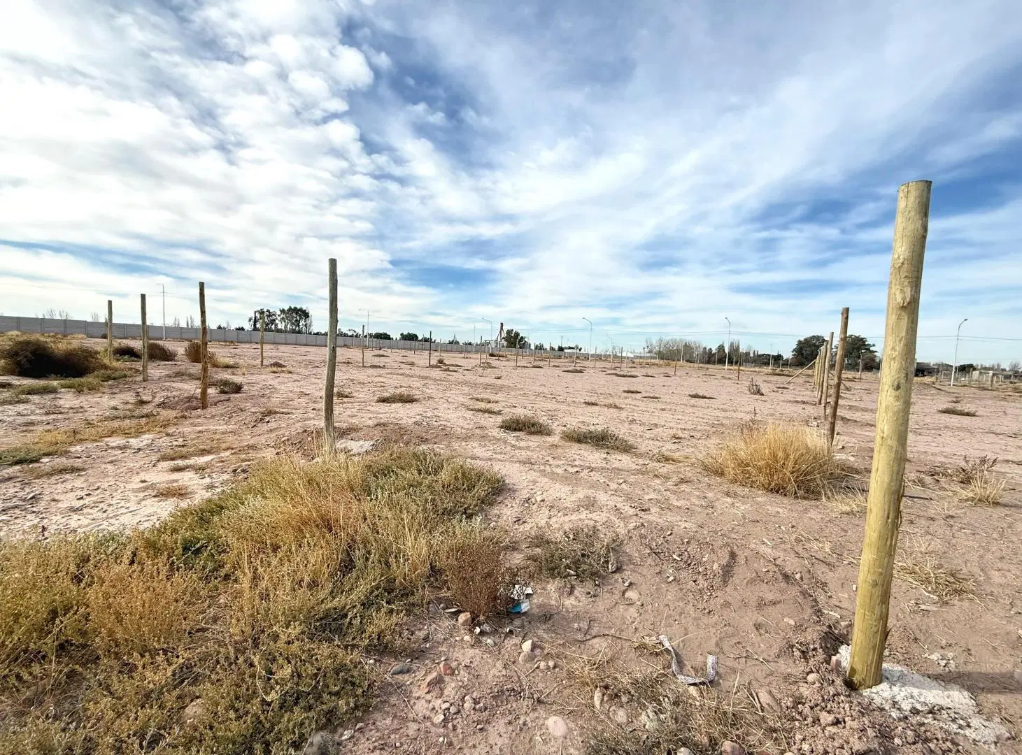 Terreno en Venta, Lunlunta, Maipú, Mendoza. 8