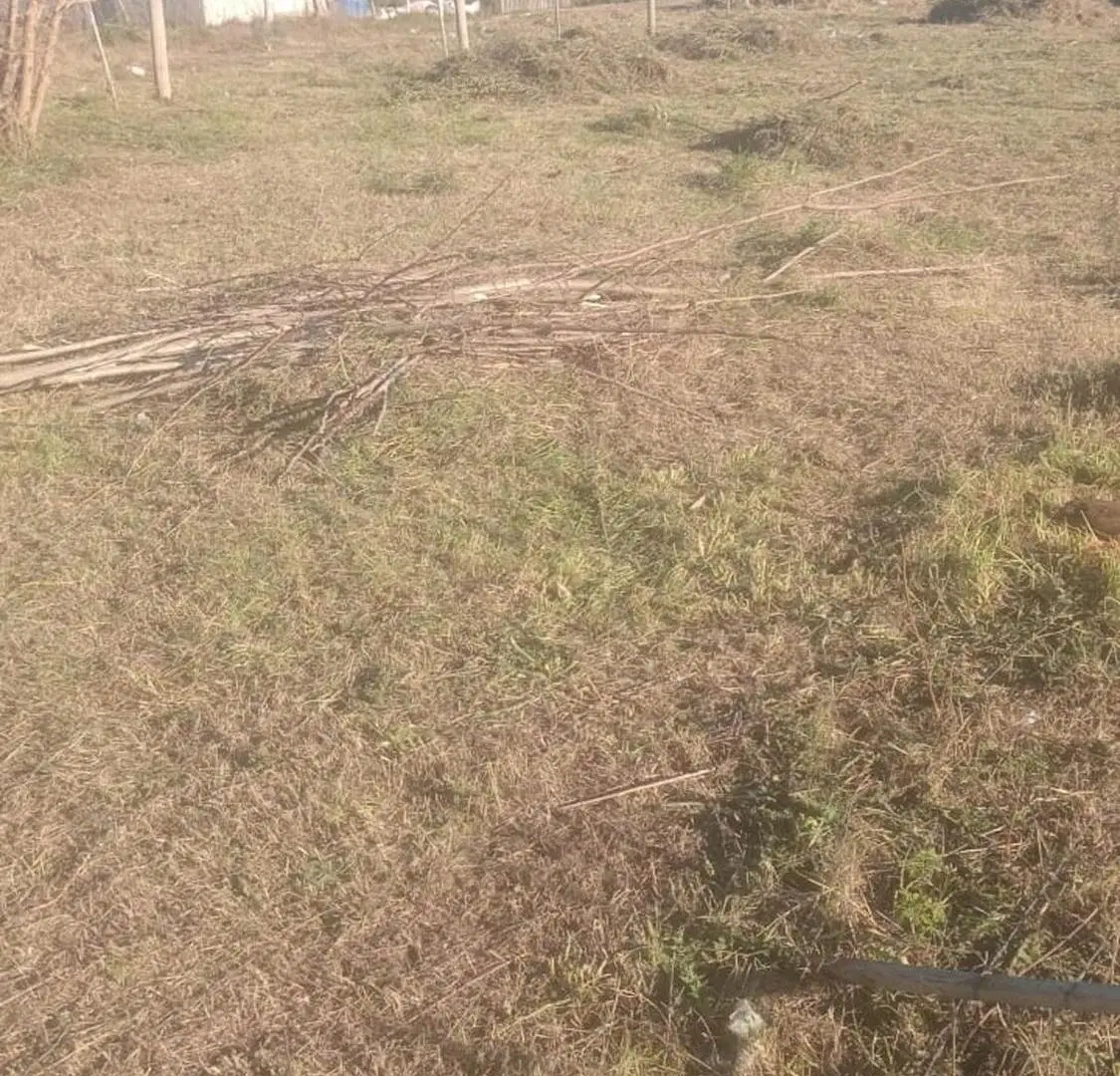 LOTE EN VENTA MARIANO ACOSTA USD 8.000 5