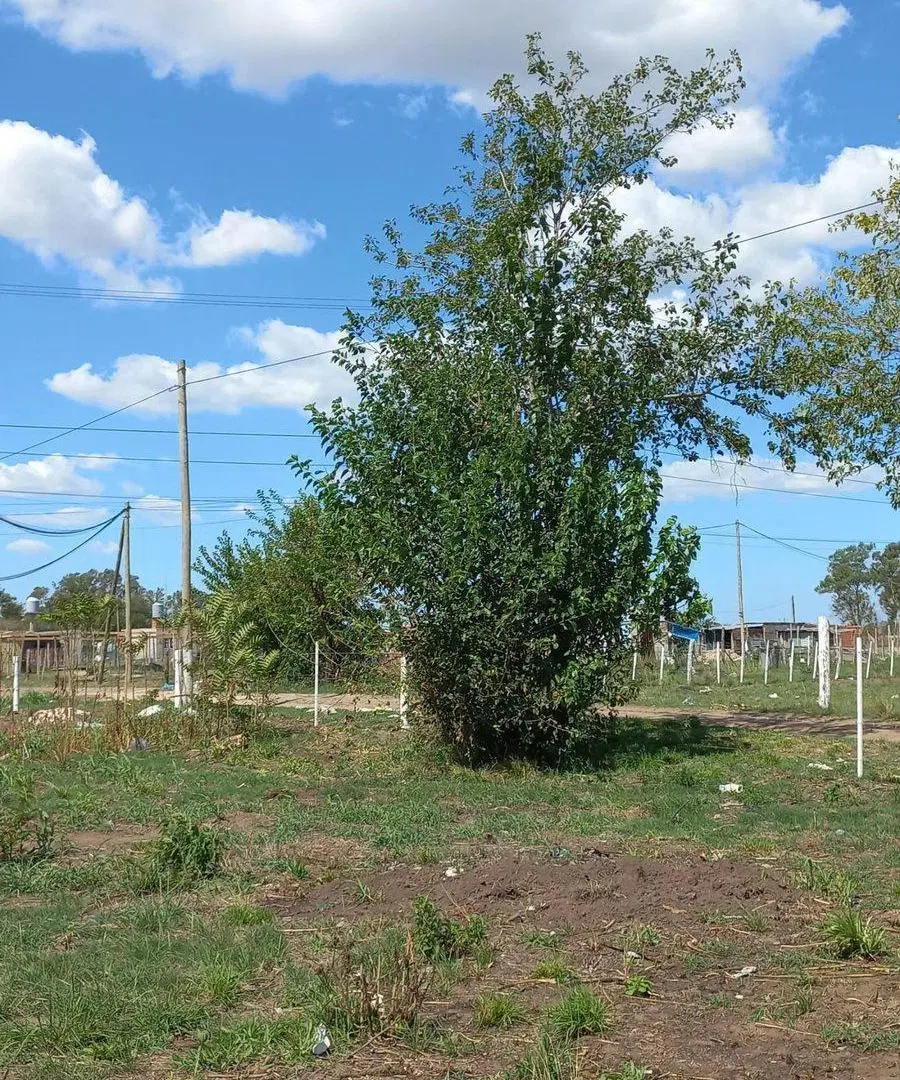 LOTE EN VENTA MARIANO ACOSTA USD 8.000 2