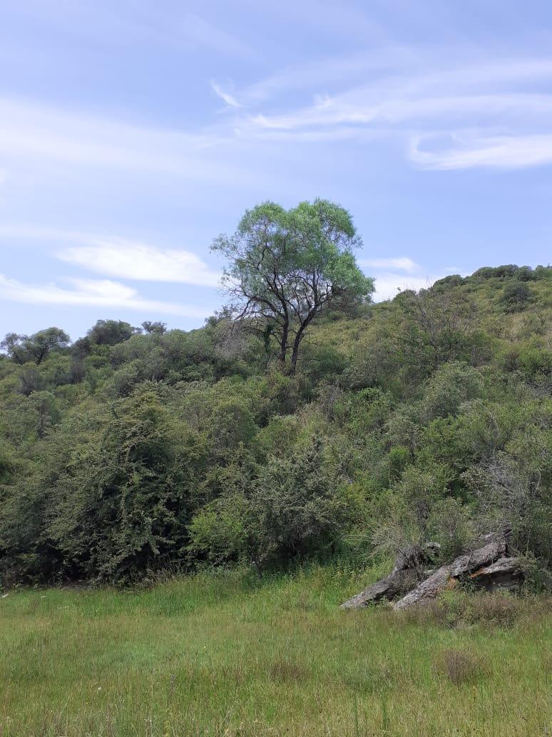 Foto de TERRENO CUESTA BLANCA, imagen 4