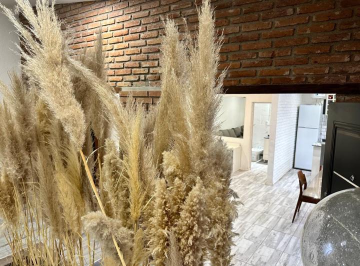 IMPERDIBLE  ALQUILER LOFT ZONA RECTA MARTINOLLI 3