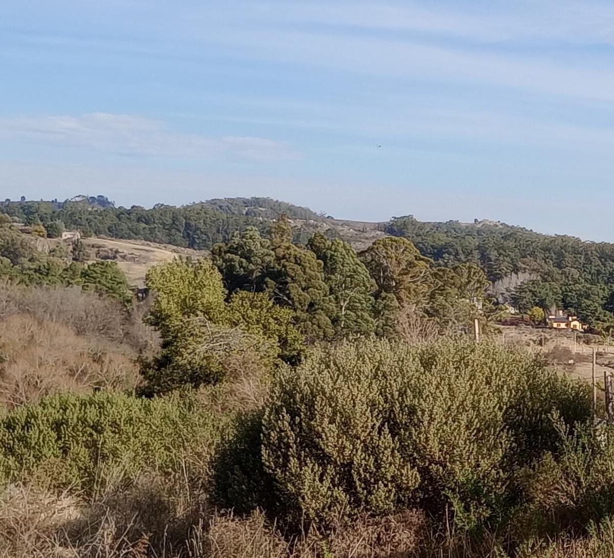 Terrenos en Excelente Ubicacion 1200 m² Tandil 1
