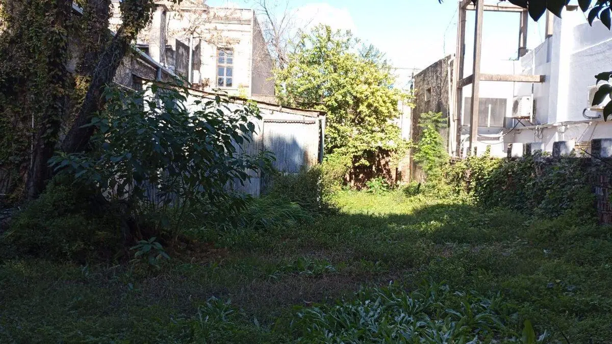 Casa céntrica gran terreno, ideal para desarrollo 5
