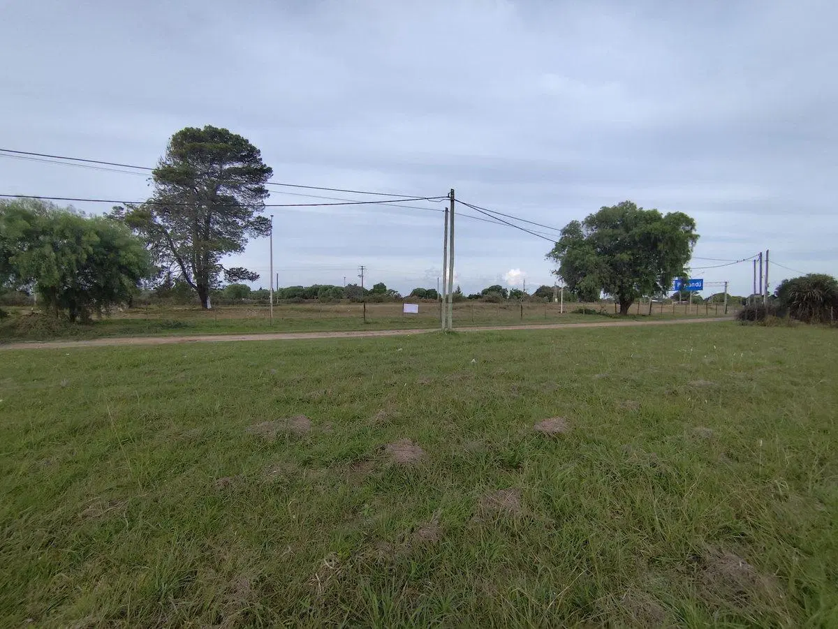 Gran terreno sobre ruta 3 2
