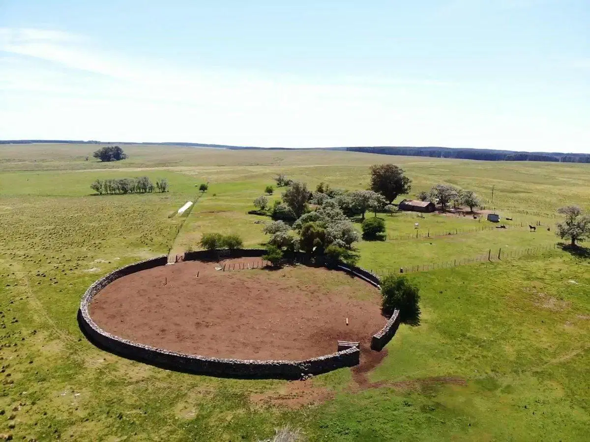 VENTA DE CAMPO GANADERO – 694 HAS. EN RIO NEGRO 4