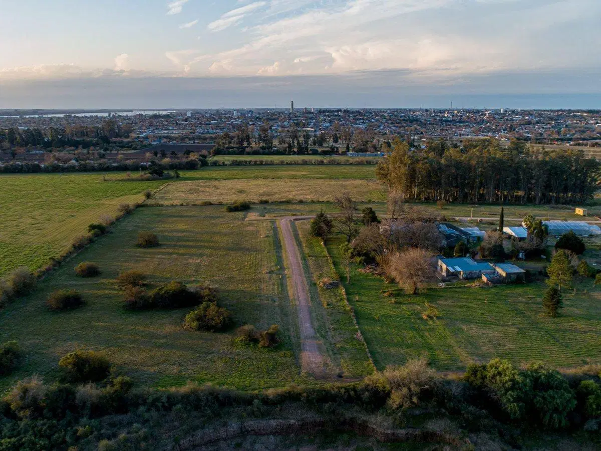 Terrenos Urbanización La Arboleda 4