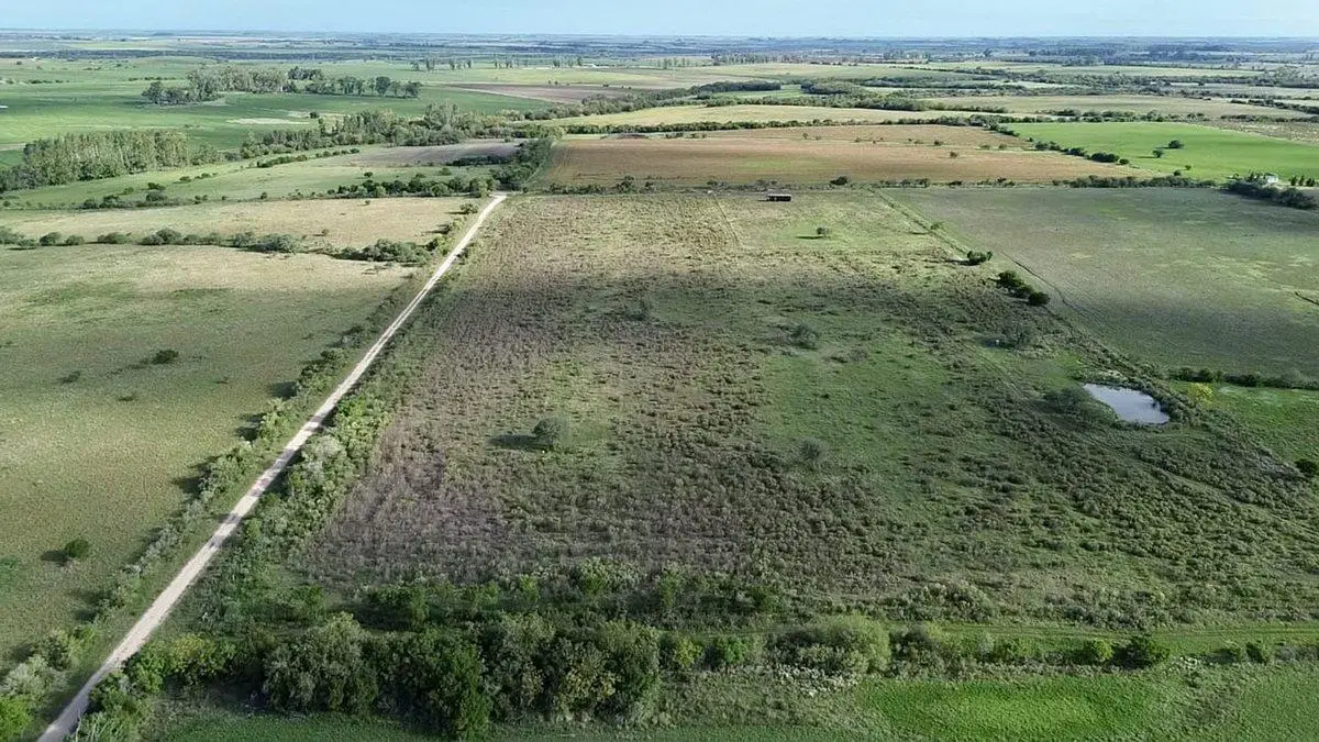 Chacra 9 ha con 2 contenedores a orillas PORVENIR 2