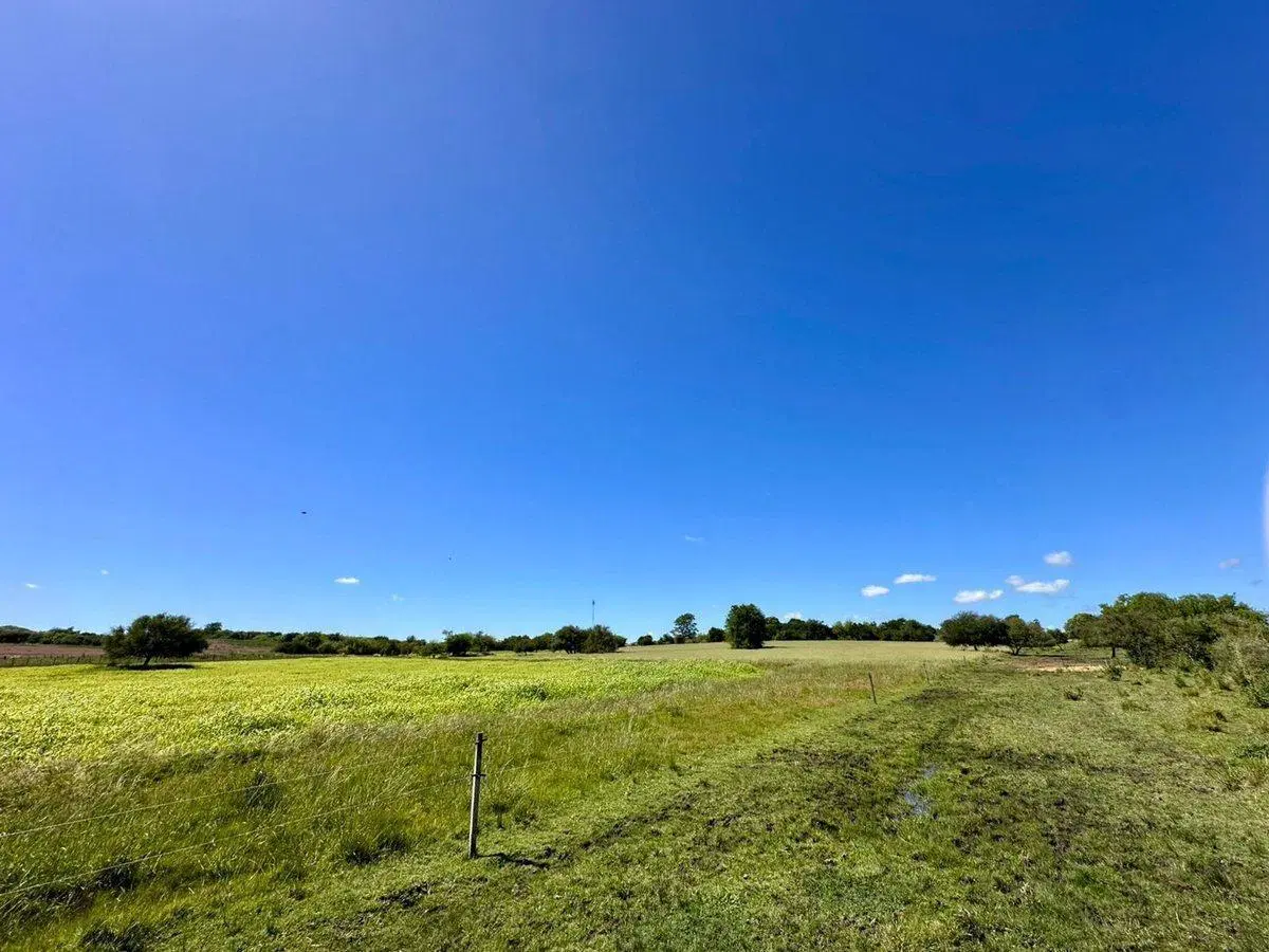 VENTA CHACRA 10 HECTAREAS, A MTS. DE RUTA 90 2
