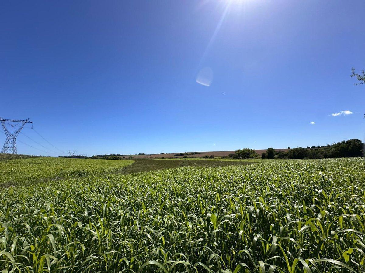 VENTA CHACRA 10 HECTAREAS, A MTS. DE RUTA 90
