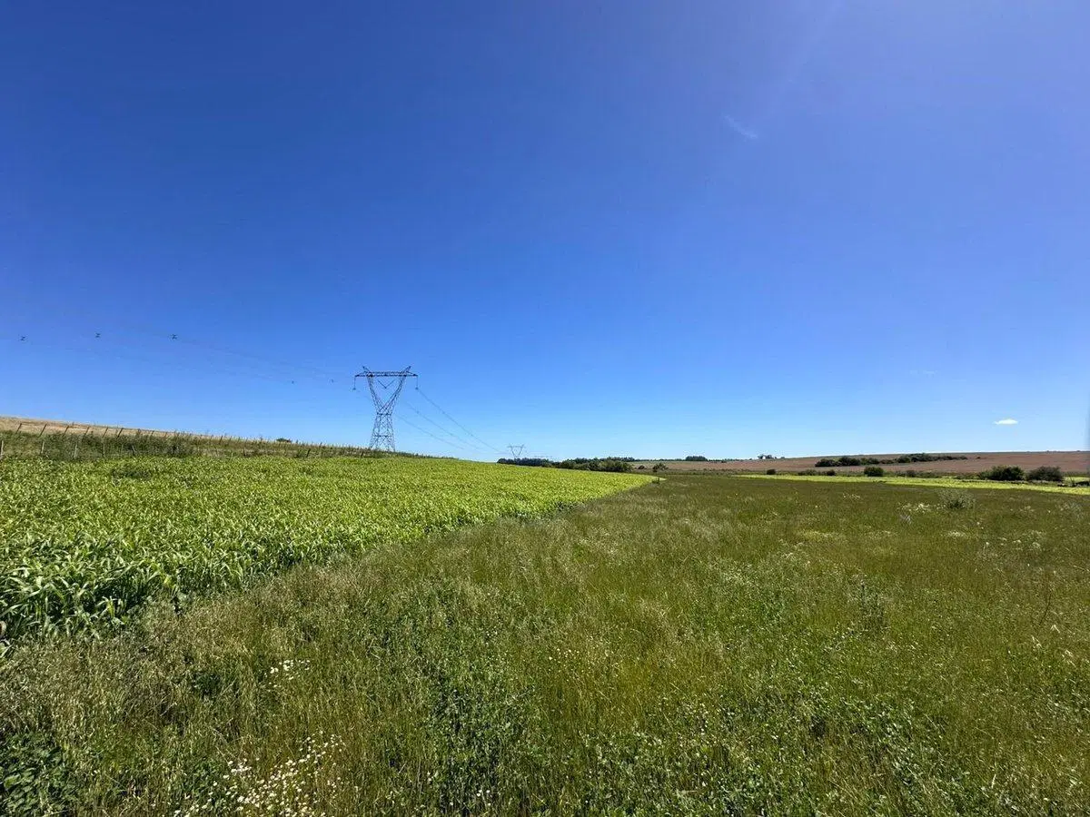VENTA CHACRA 10 HECTAREAS, A MTS. DE RUTA 90 3