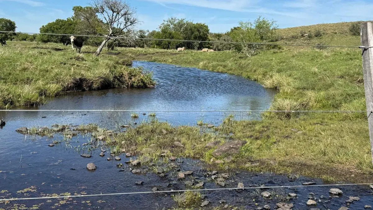 VENTA DE CAMPO GANADERO – 694 HAS. EN RIO NEGRO 3