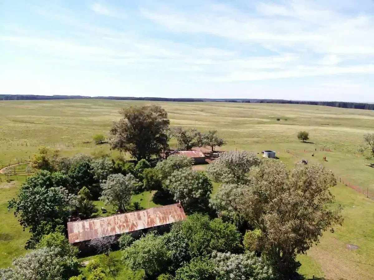 VENTA DE CAMPO GANADERO – 694 HAS. EN RIO NEGRO 2