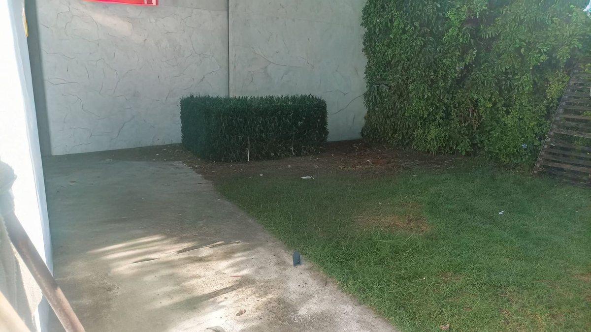 Foto de CASA CON GRAN TERRENO, imagen 1