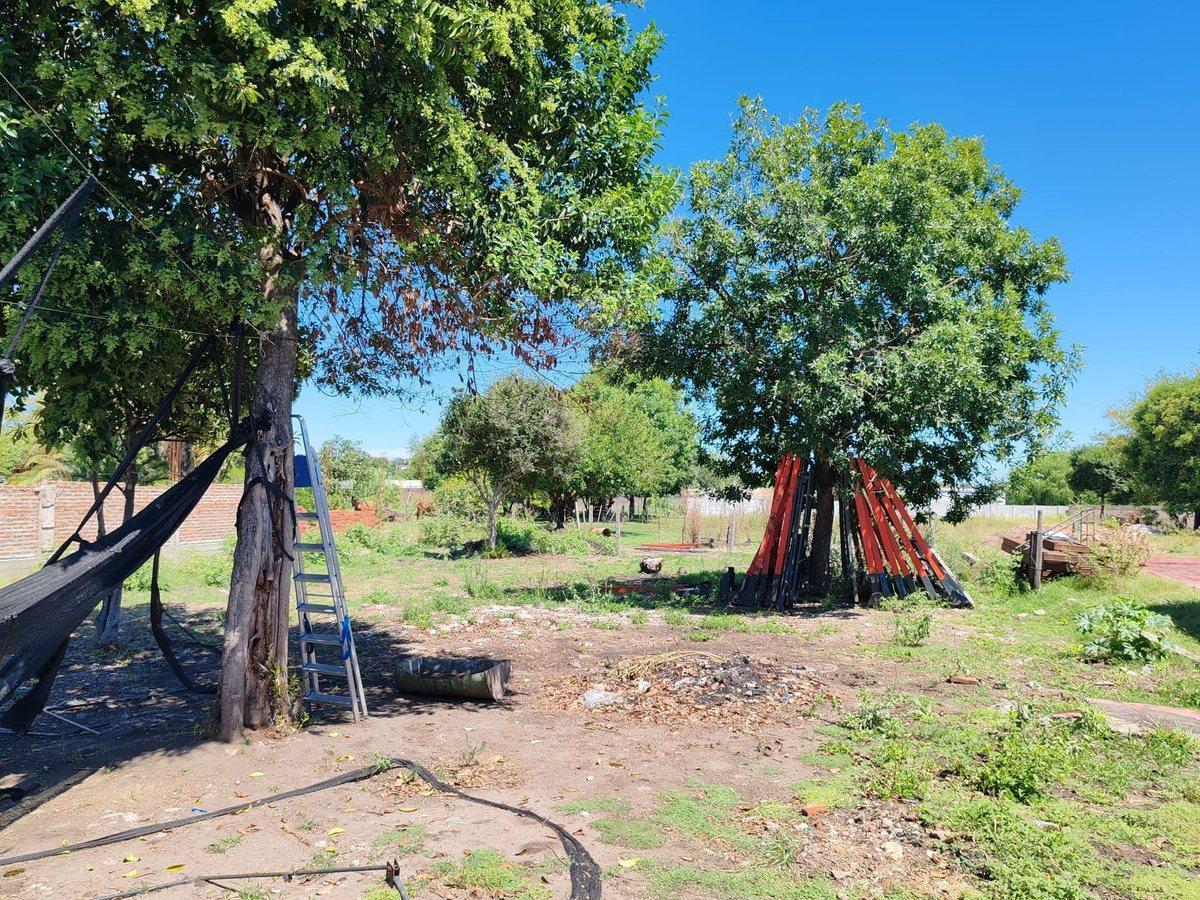 Foto de OPORTUNIDAD 2 Casas en Padrón Único sobre 2000 m², imagen 3