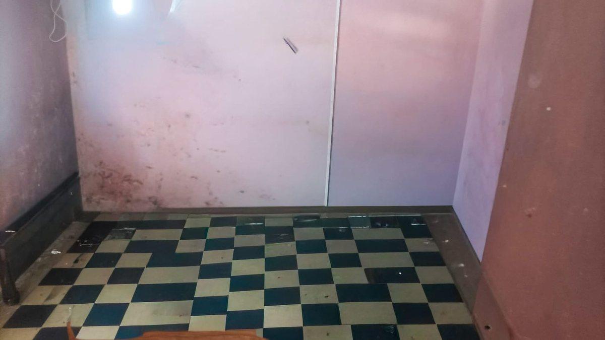 Foto de CASA CON GRAN TERRENO, imagen 1