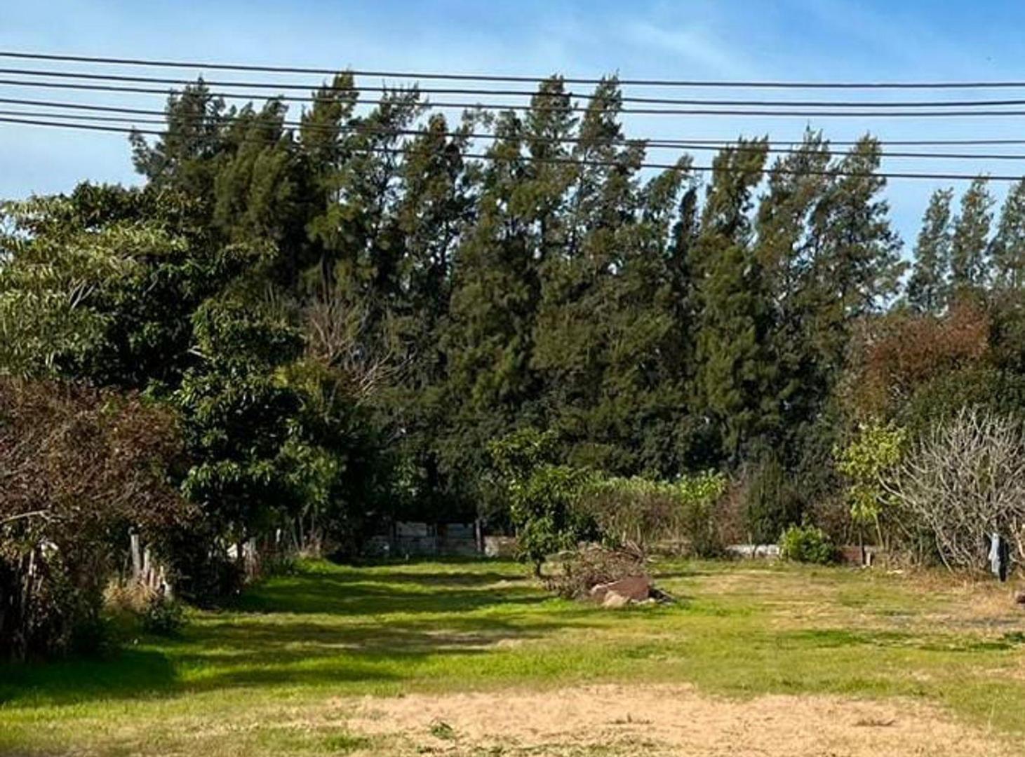 Foto de Terreno en excelente ubicación muy amplio 1033 m2, imagen 1