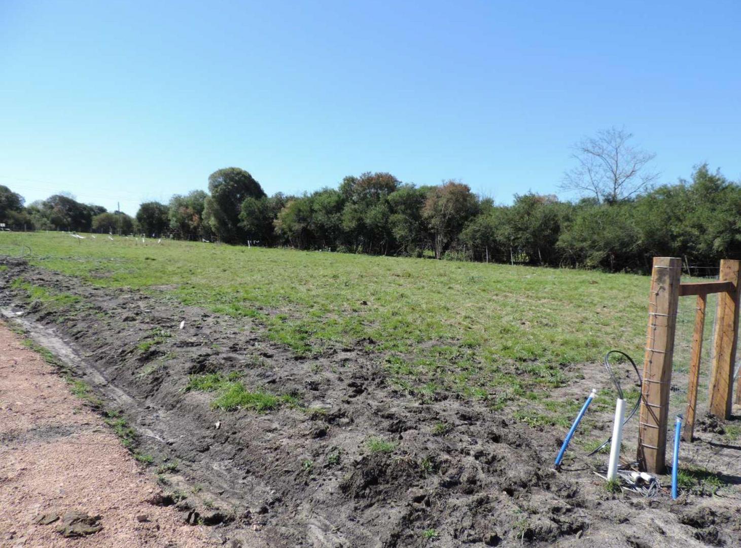 Foto de Terreno con financiación entrega de 3.000 USD, imagen 5