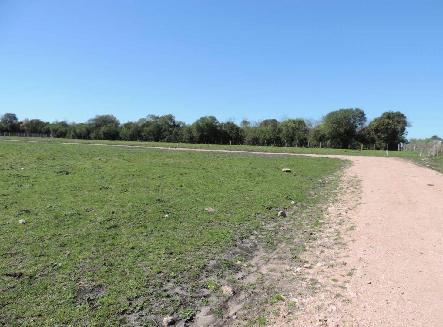 Foto de Terreno con financiación entrega de 3.000 USD, imagen 3