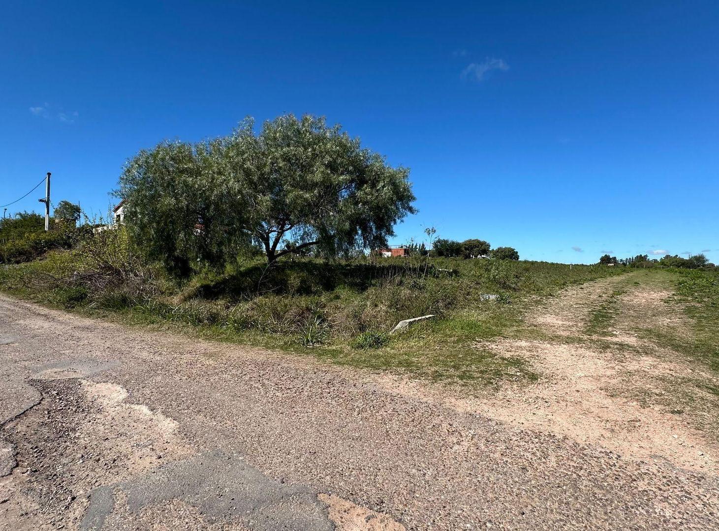 Foto de TERRENO EN VENTA EN PAYSANDÚ, REPÚBLICA DE BOLIVIA, imagen 2