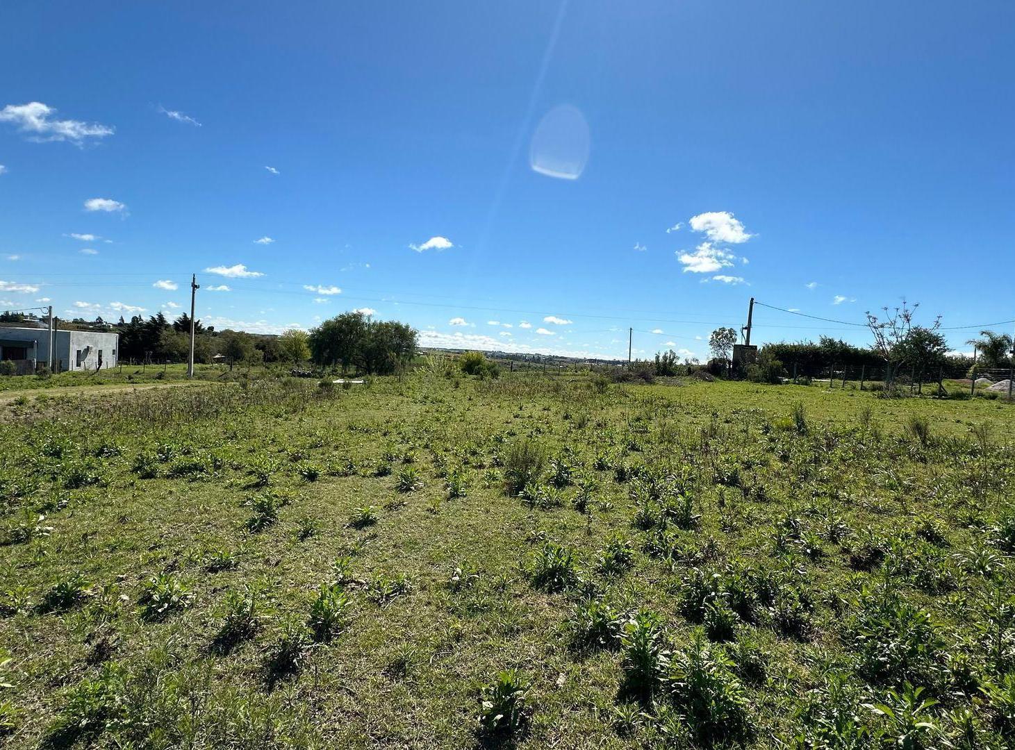 Foto de TERRENO EN VENTA EN PAYSANDÚ, REPÚBLICA DE BOLIVIA, imagen 5