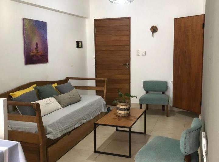 Departamento en Zona Centro 2