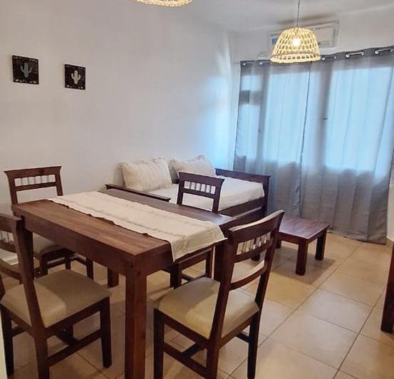 Departamento en Zona Centro 3