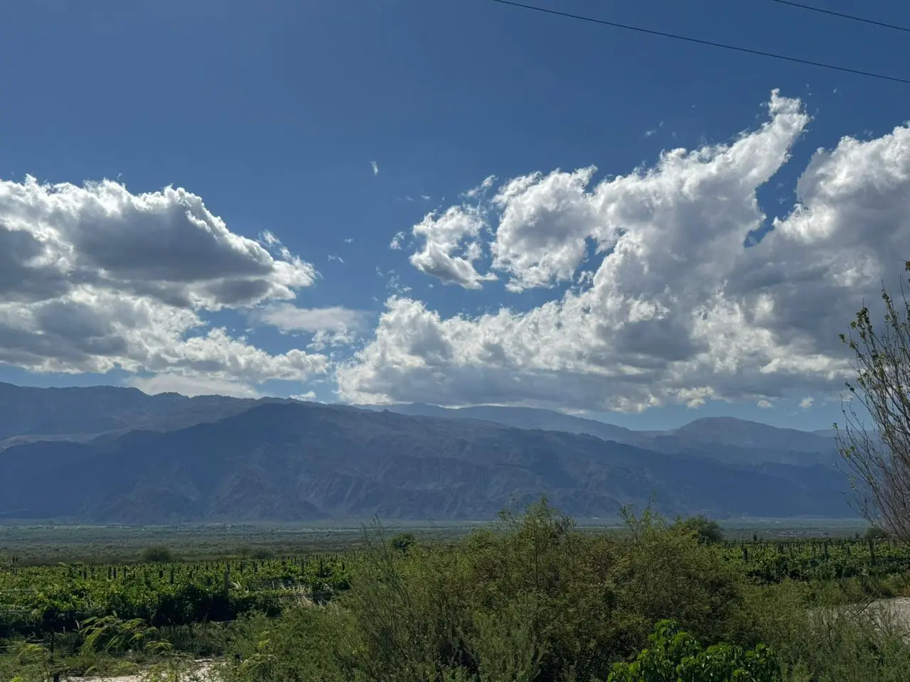 Terreno en Cafayate 4