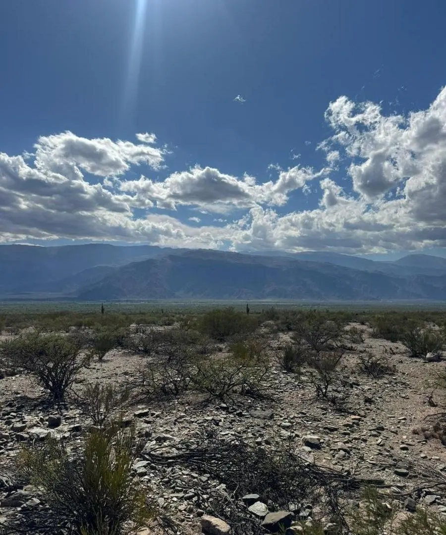 Terreno en Cafayate 3