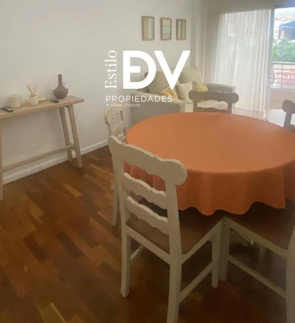 Departamento en Zona Centro 3