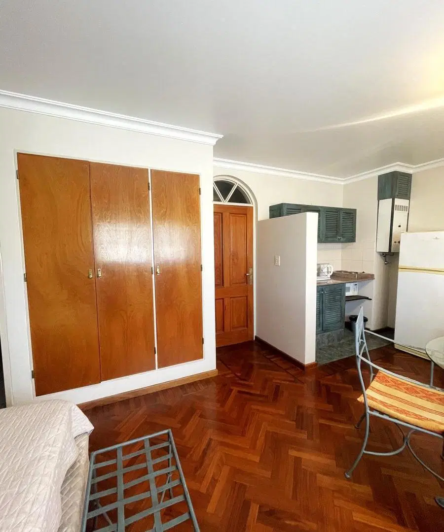 Departamento en Zona Centro 5