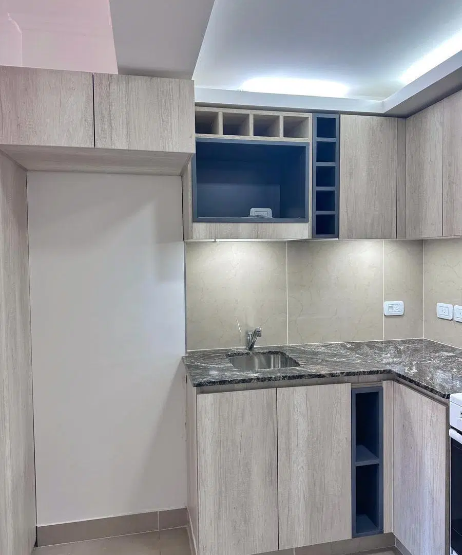 Departamento en Zona Centro 5