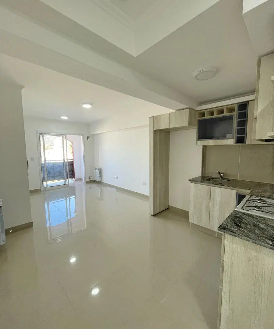 Departamento en Zona Centro 2