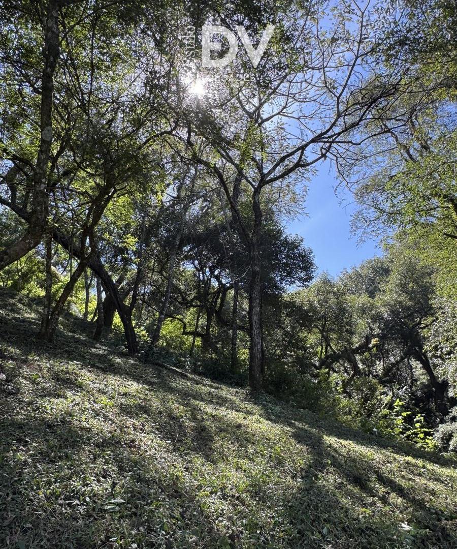 Foto de Terreno en venta - San Lorenzo, imagen 2