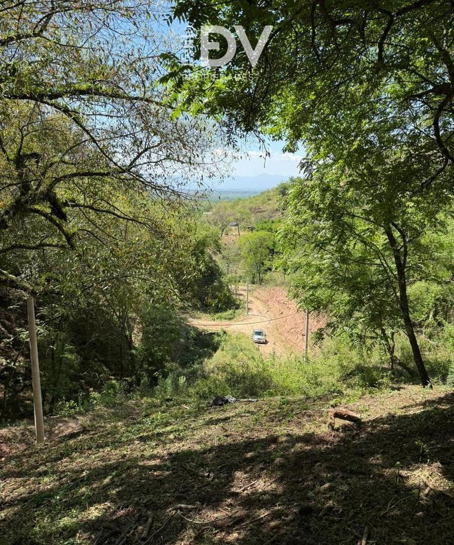 Foto de Terreno en venta - San Lorenzo, imagen 4