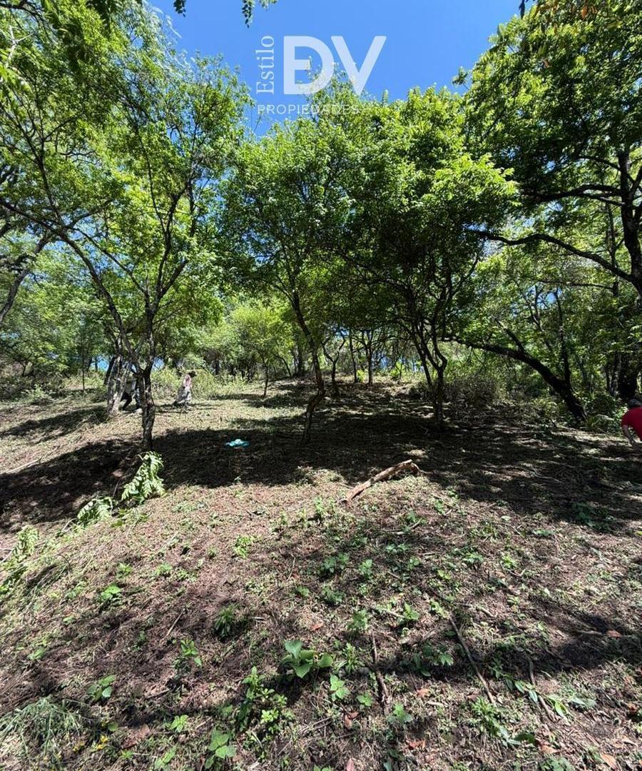 Foto de Terreno en venta - San Lorenzo, imagen 1