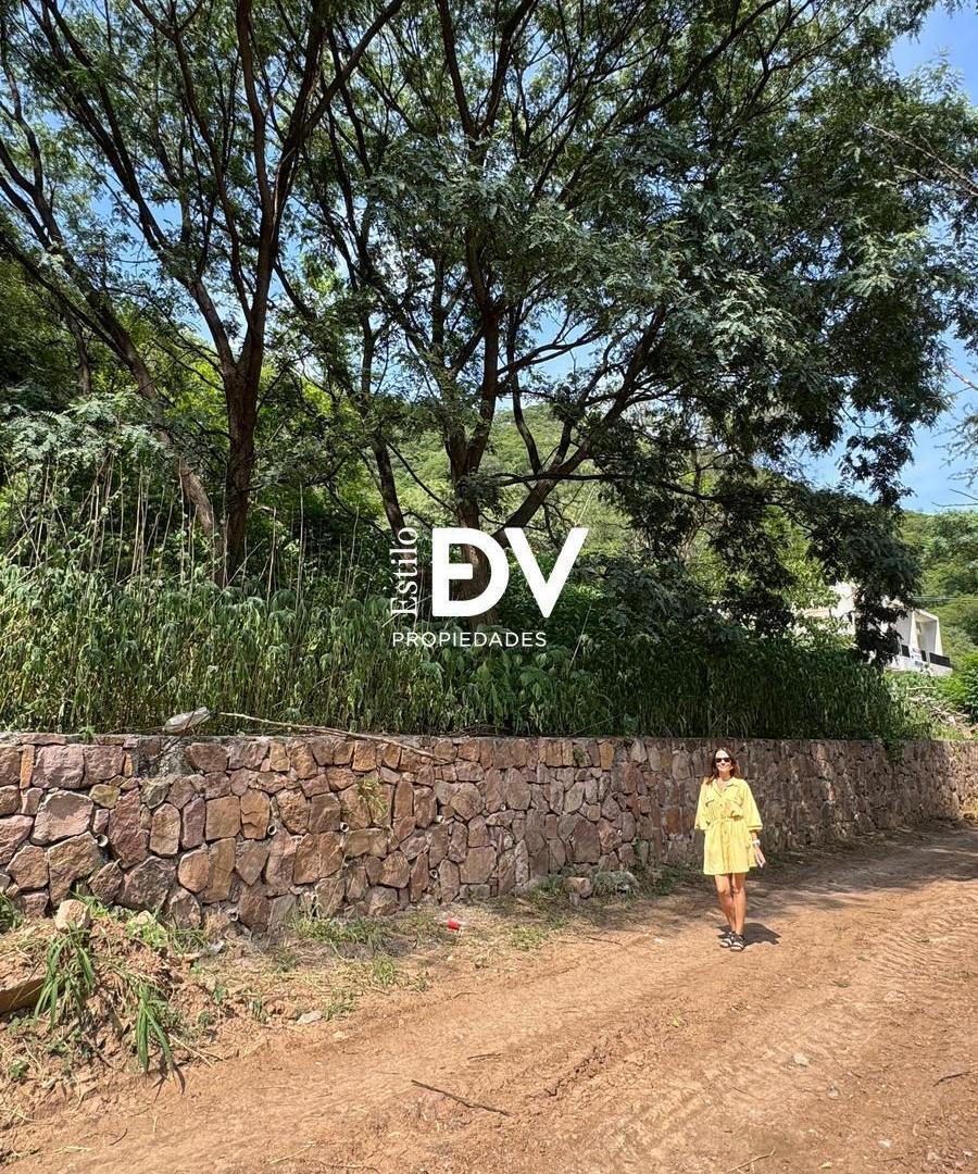 Foto de Terreno en venta - B. Tres Cerritos con muy lindas vistas 750m2, imagen 3