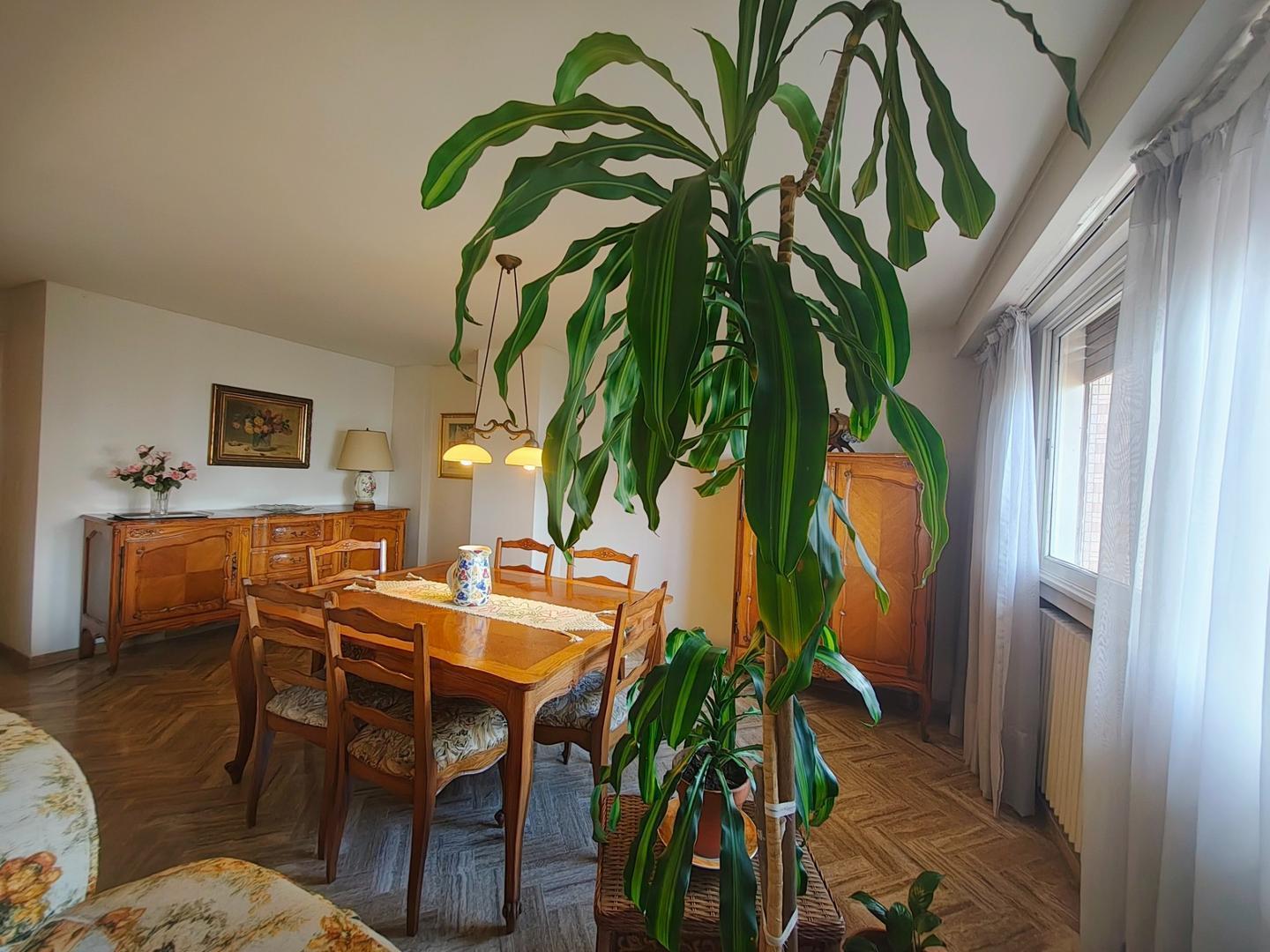 Foto de Departamento en venta APTO credito Las Lomitas cochera, imagen 3