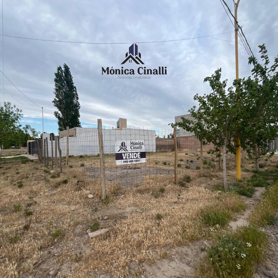 Terreno en Villa Regina 5