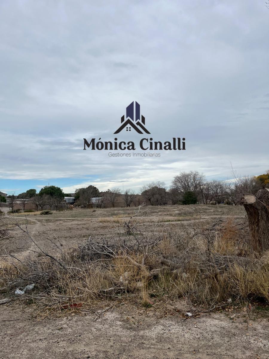 Terreno en Villa Regina 4