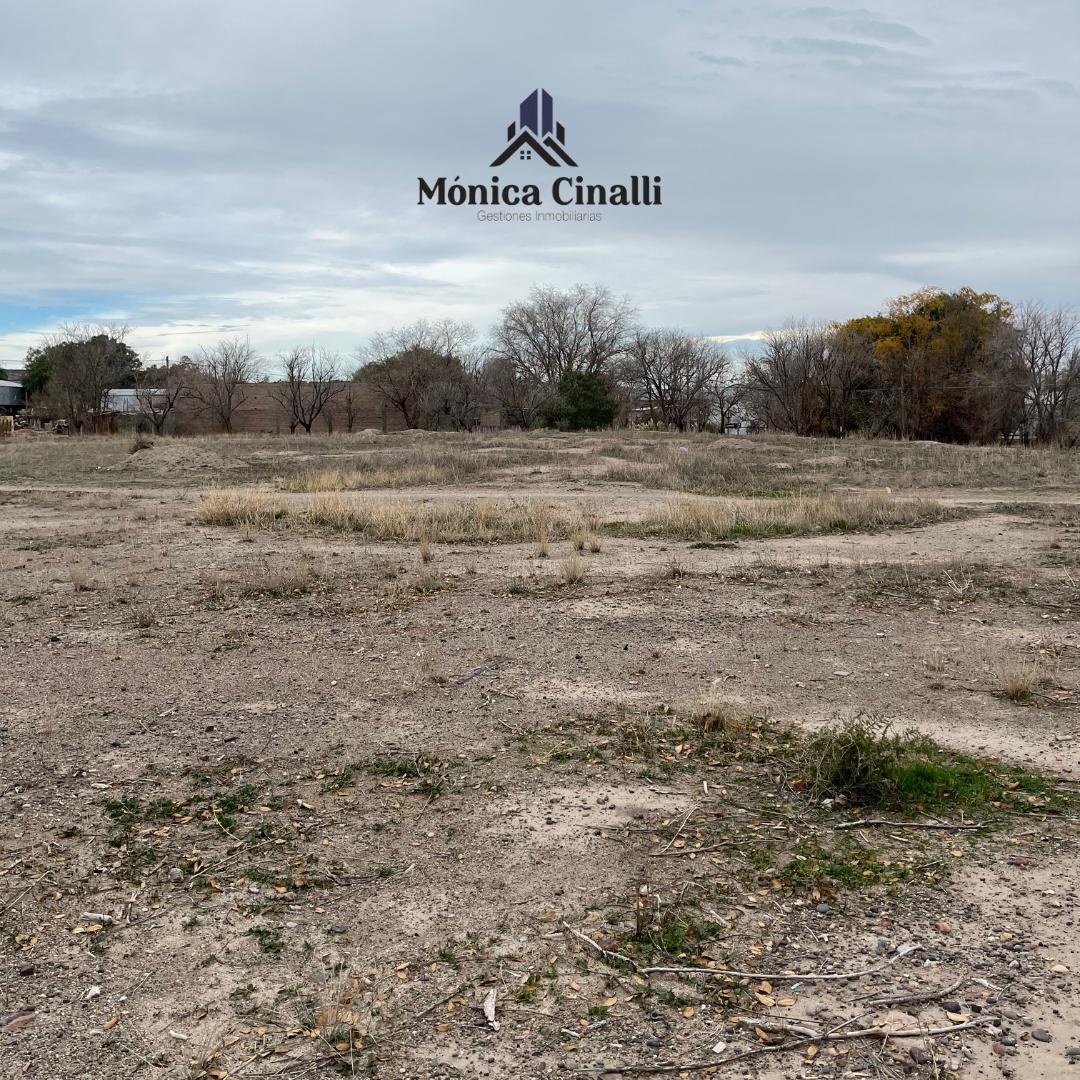 Terreno en Villa Regina 3